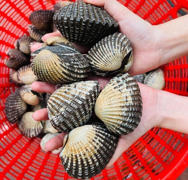 5 loại hải sản dễ