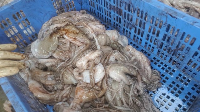 5 loại hải sản dễ