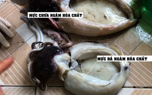 5 loại hải sản dễ
