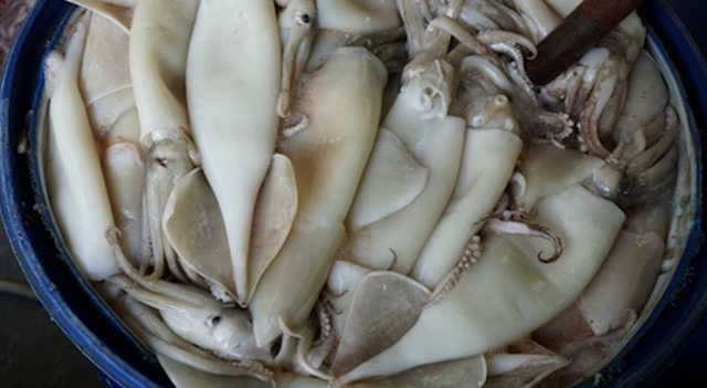 5 loại hải sản dễ