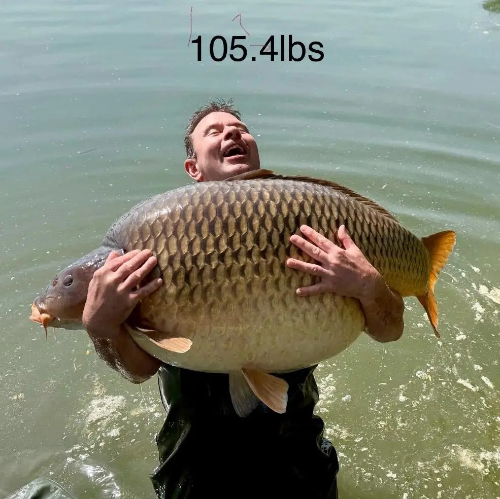 Người đàn ông sốc nặng khi bắt được con cá chép khổng lồ nặng 48kg- Ảnh 1.