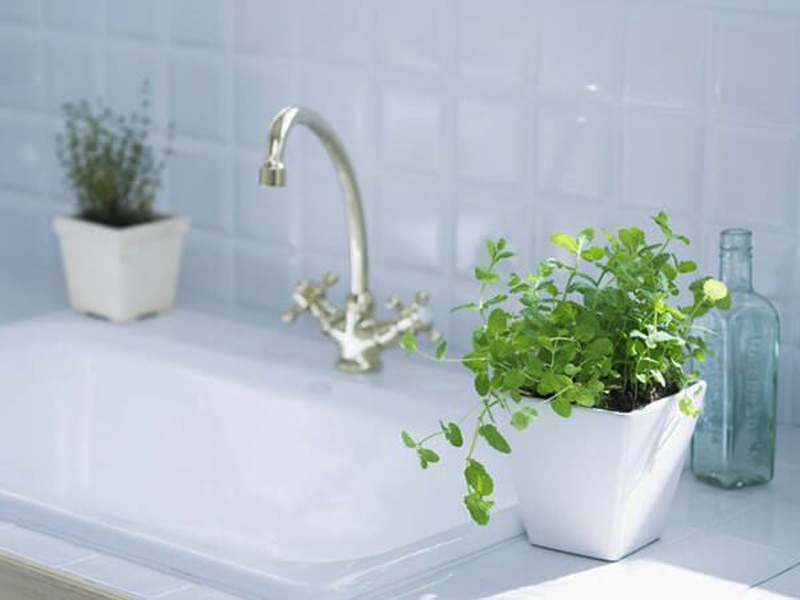 Thấy nhà vệ sinh bốc mùi hôi tanh như cống rãnh, người thông minh xử lý nhẹ tựa lông hồng!- Ảnh 2.