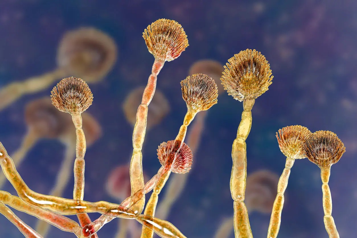 Vật dụng n&agrave;y c&oacute; độc t&iacute;nh cao gấp 12 lần thạch t&iacute;n, nhưng nhiều gia đ&igrave;nh vẫn &ldquo;ăn&rdquo; ch&uacute;ng h&agrave;ng ng&agrave;y!- Ảnh 3.