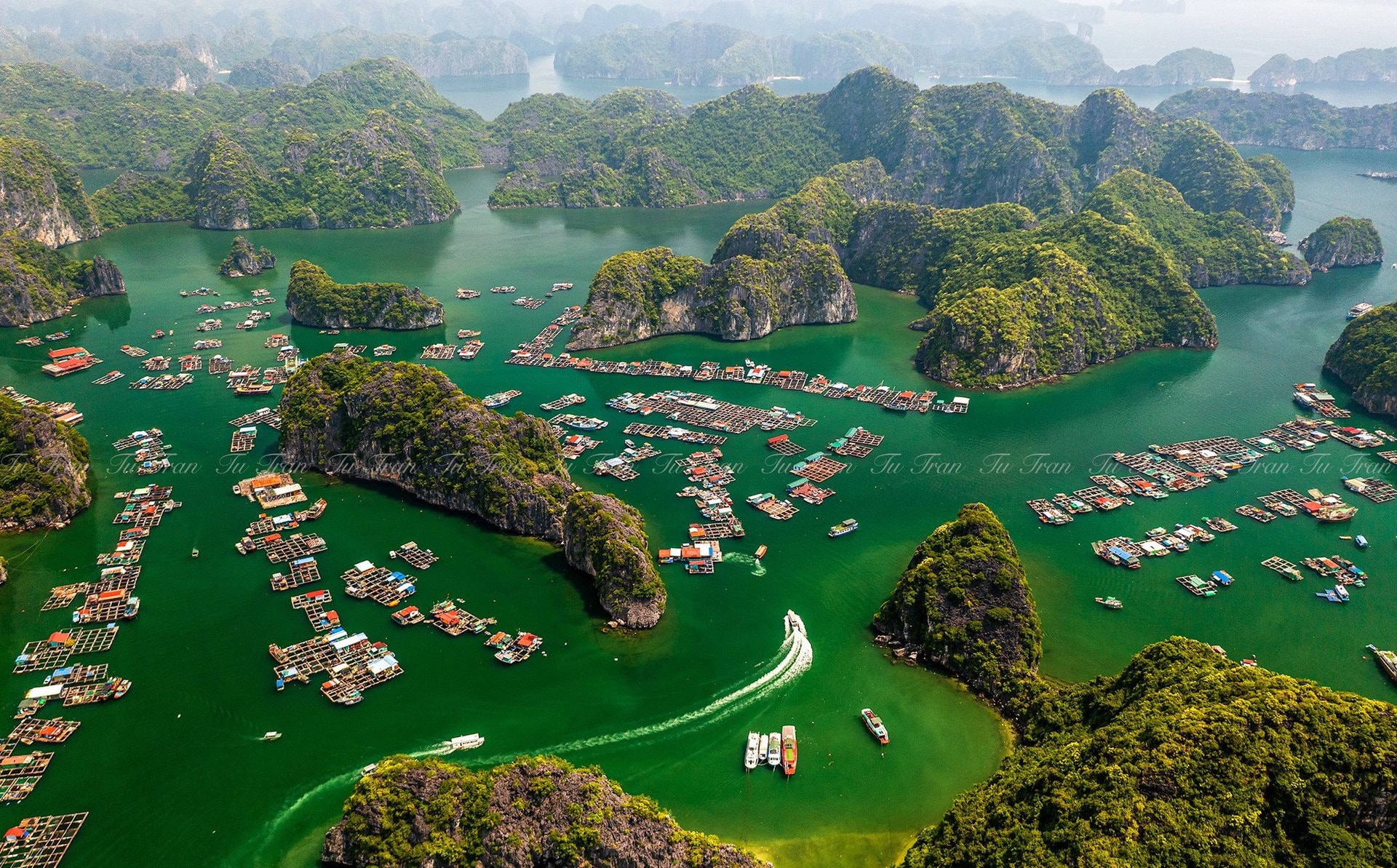 Bãi biển ở Cát Bà được mệnh danh là "thiên đường bí mật", nhiều người bất ngờ vì chưa từng nghe tên - Ảnh 11.