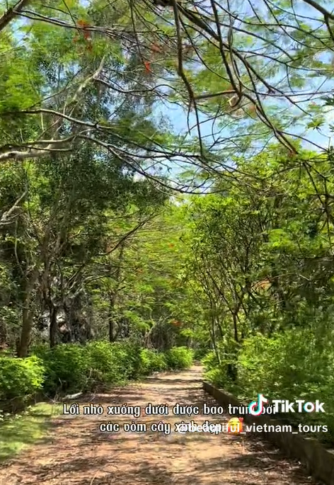 Bãi biển ở Cát Bà được mệnh danh là "thiên đường bí mật", nhiều người bất ngờ vì chưa từng nghe tên - Ảnh 3.