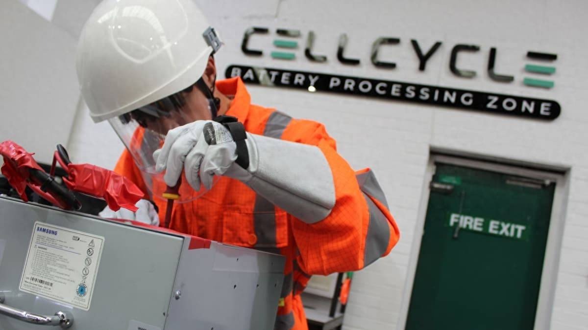 Vi khuẩn 50 triệu năm tuổi mở ra tương lai t&aacute;i chế pin xanh v&agrave; sạch hơn- Ảnh 1.