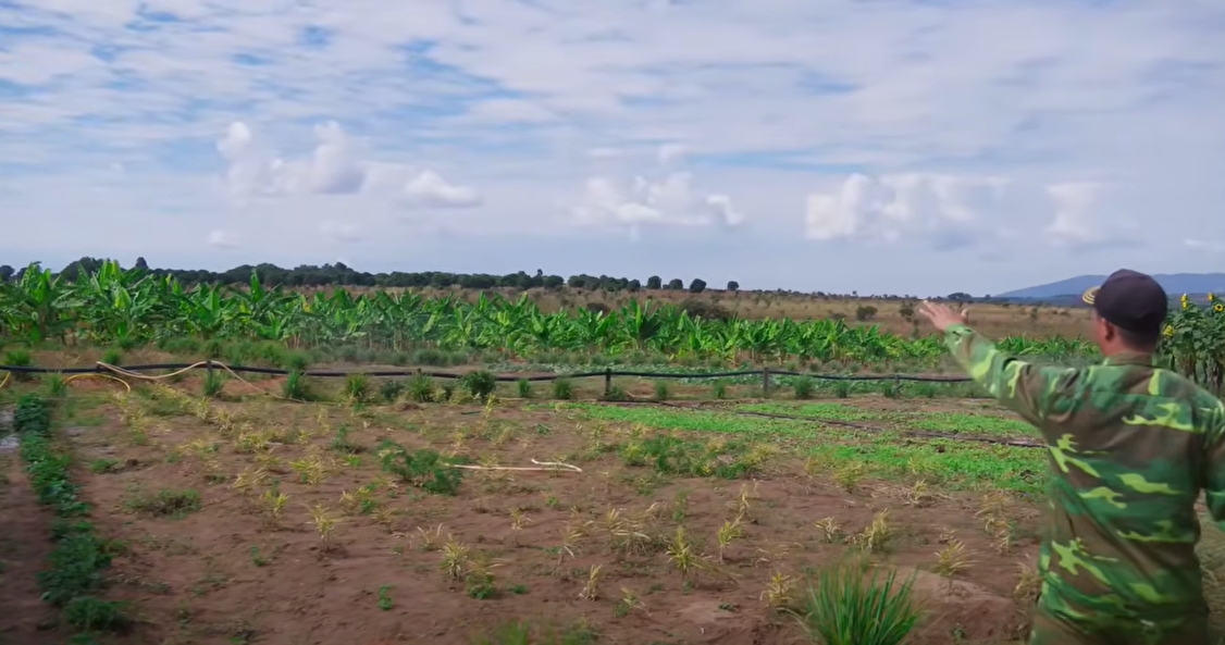 Nghi vấn trang trại của Quang Linh Vlogs ở Angola chỉ là phim trường, trồng lúa để làm content: Thực hư ra sao? - Ảnh 5.