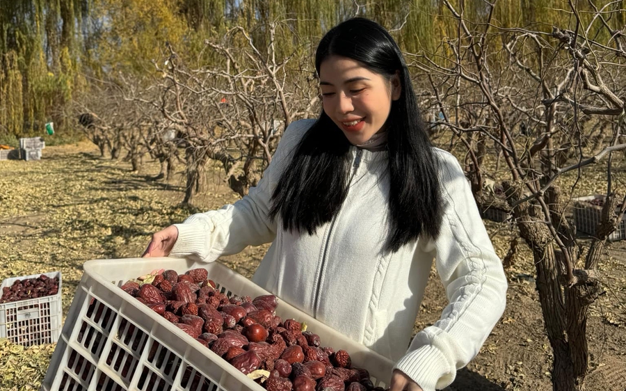 Sự lụi tàn của trend táo đỏ: Bạn đã đổ bao nhiêu tiền vào đây rồi? - Ảnh 1.