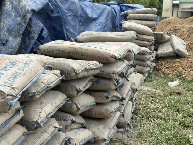 Chủ tịch xã Lộc Yên bị bắt vì để 200 tấn xi măng hư hỏng - Ảnh 2.