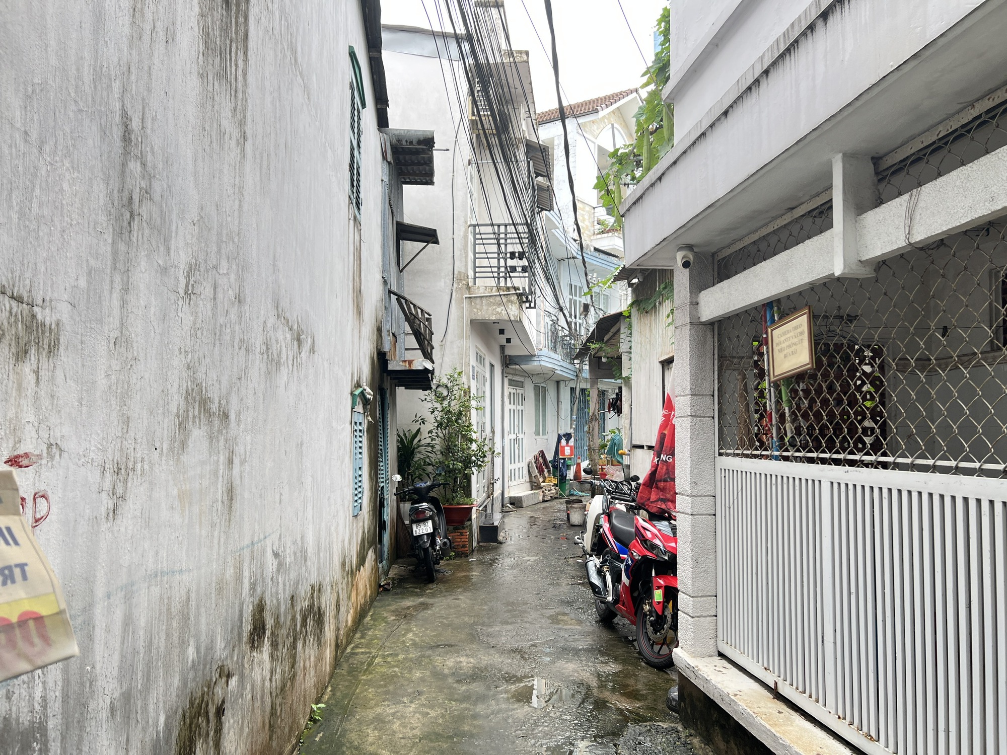 Công ty trong liên minh đề xuất làm đường sắt tốc độ cao 100 tỉ USD có vốn điều lệ 1 tỉ đồng - Ảnh 1.