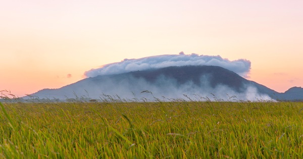 Sinh viên mới ra trường than thở "lương 18 triệu không đủ sống" - Ảnh 4.