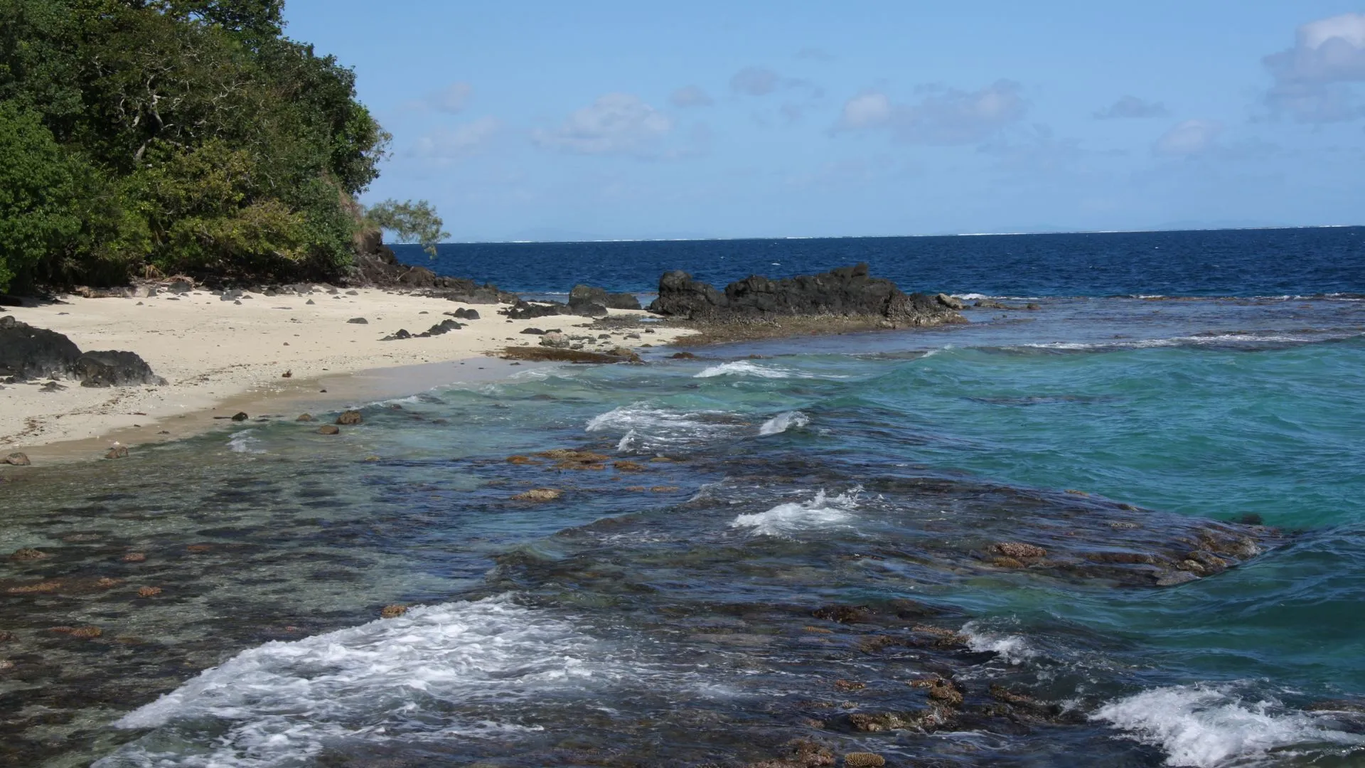 Điểm đến ngắm cá mập ngoạn mục nhất hành tinh - Ảnh 1. Điểm đến ngắm cá mập ngoạn mục nhất hành tinh - Ảnh 1.