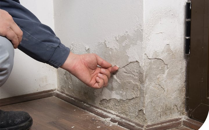 Cách xử lý tường bị ẩm mốc, bong tróc hiệu quả cho ngôi nhà bền đẹp - Ảnh 1.