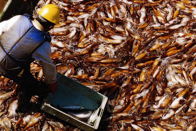 Kho b&aacute;u dưới nước của Việt Nam sang Th&aacute;i Lan đắt h&agrave;ng kỷ lục: thu về hơn 200 triệu USD, Nhật Bản, Mỹ li&ecirc;n tục chốt đơn - Ảnh 1.