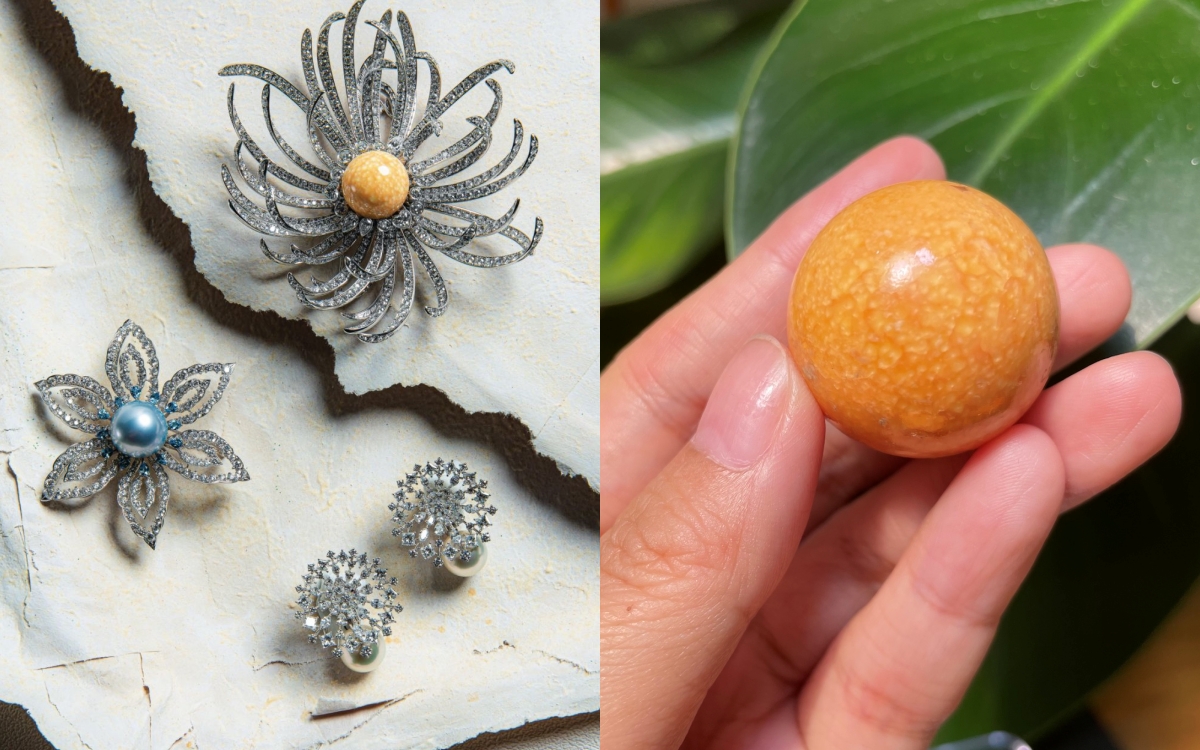 Ngọc ốc - Hạt ngọc qúy hiếm của Việt Nam vượt xa ngọc trai - Ảnh 2.