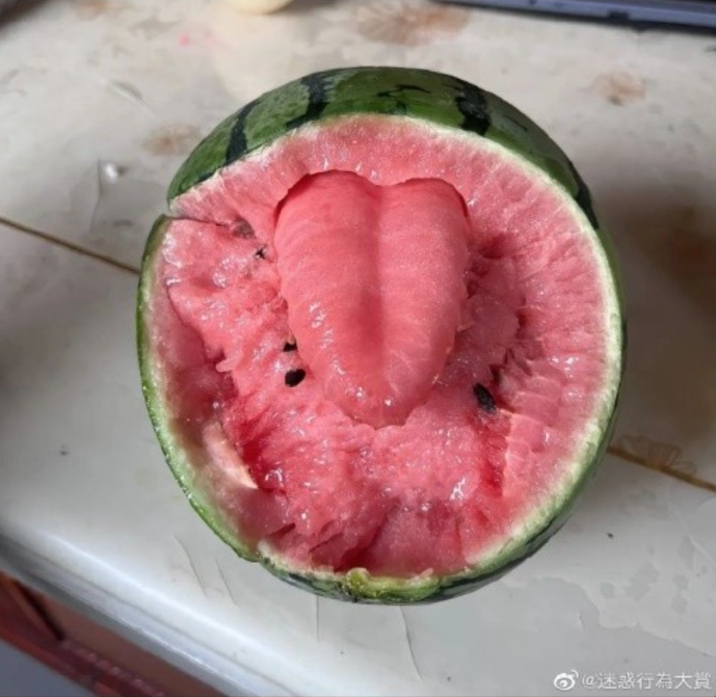 - Ảnh 3.