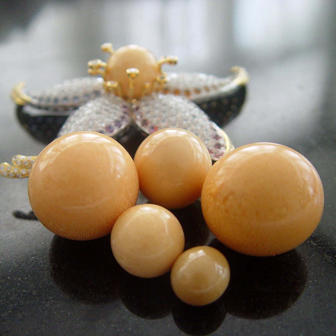 Ngọc ốc - Hạt ngọc qúy hiếm của Việt Nam vượt xa ngọc trai - Ảnh 5.