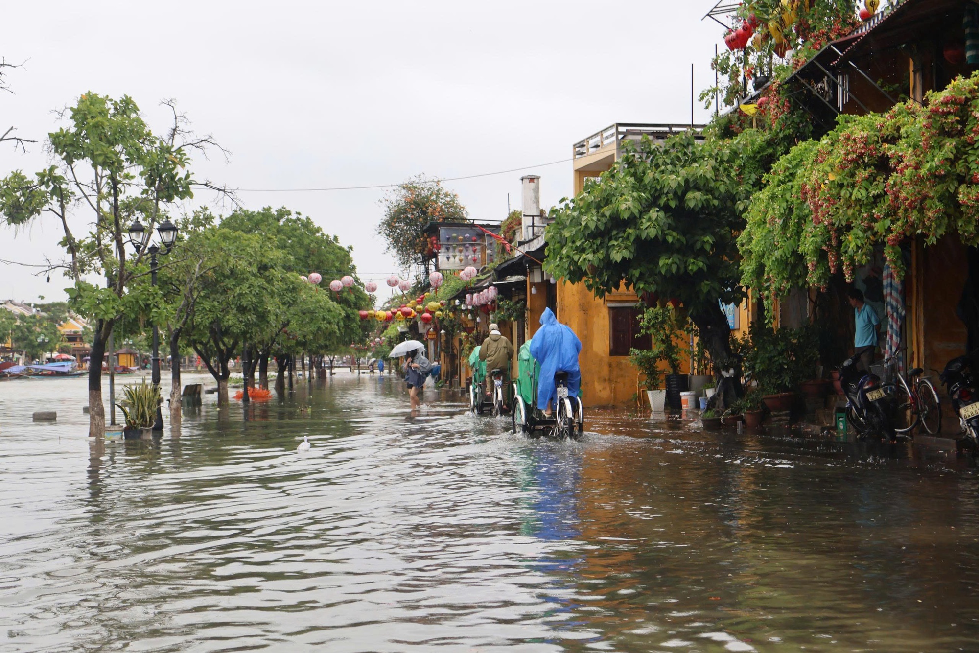 Ảnh hưởng bão số 1: Phố cổ Hội An ngập sâu, sạt lở nhiều điểm đường lên bán đảo Sơn Trà- Ảnh 26.