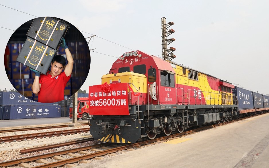 Tập đoàn từng nổ đá xây hầm dài nhất Trung Á ngỏ ý với Việt Nam: Sẽ có đường sắt cao tốc lịch sử? - Ảnh 2.