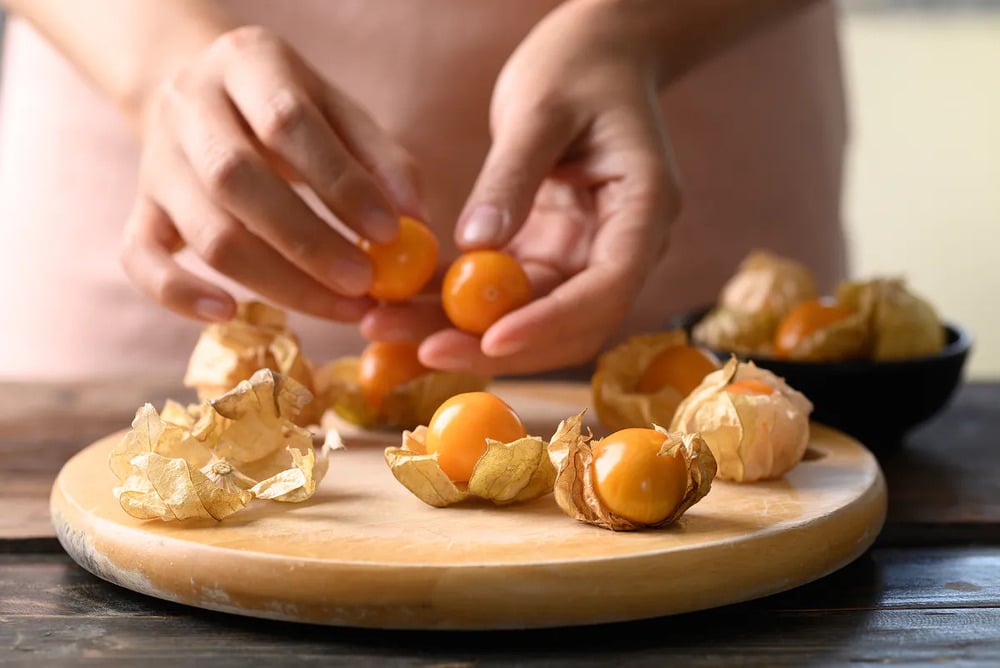Việt Nam có loại quả dại, ít người ăn, sang Nhật có giá 2,9 triệu đồng/kg: Tiềm năng phòng ung thư- Ảnh 5.