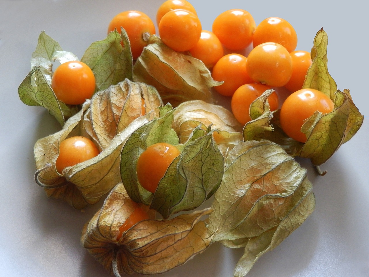 Việt Nam có loại quả dại, ít người ăn, sang Nhật có giá 2,9 triệu đồng/kg: Tiềm năng phòng ung thư- Ảnh 3.