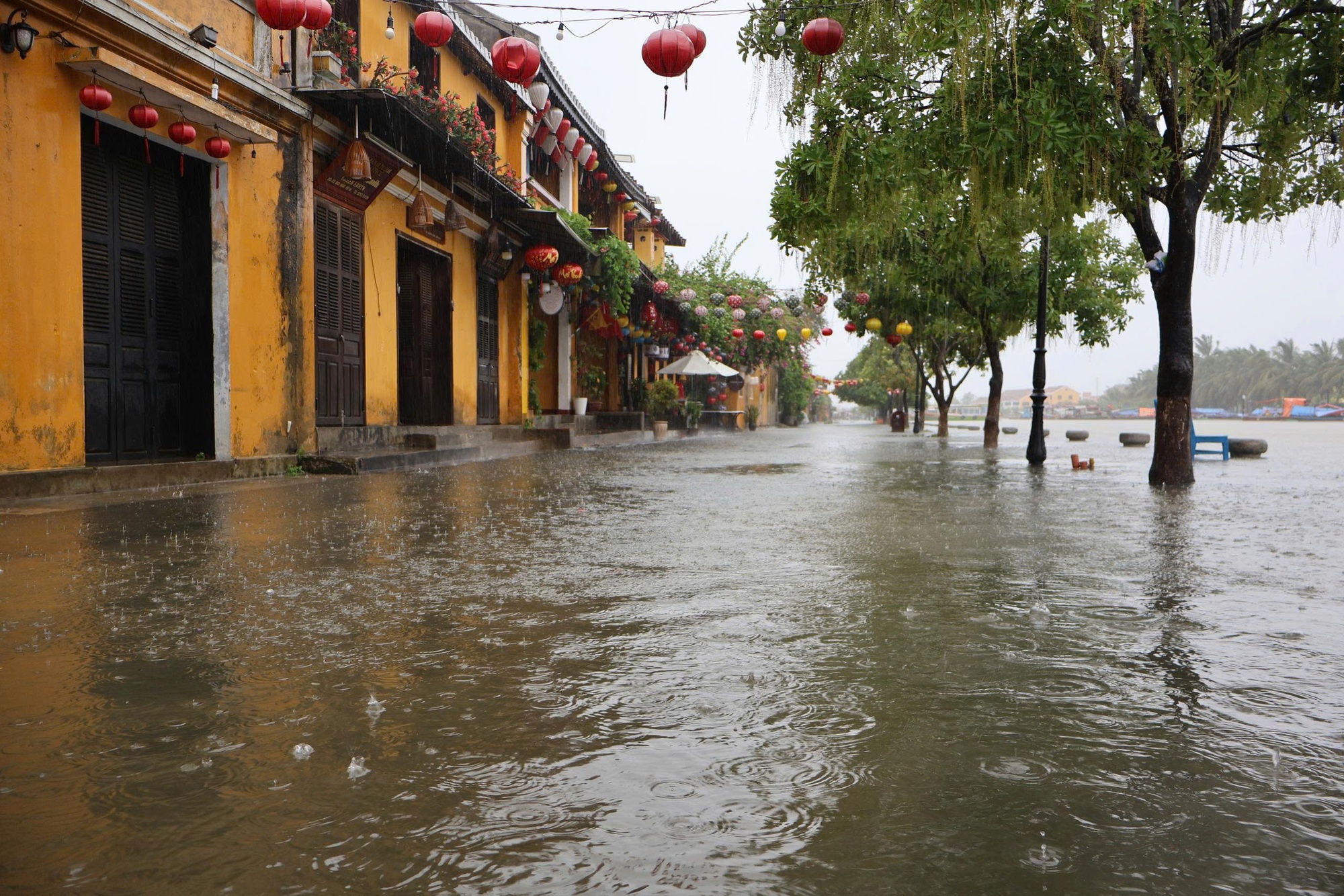 Ảnh hưởng bão số 1: Phố cổ Hội An ngập sâu, sạt lở nhiều điểm đường lên bán đảo Sơn Trà- Ảnh 25.