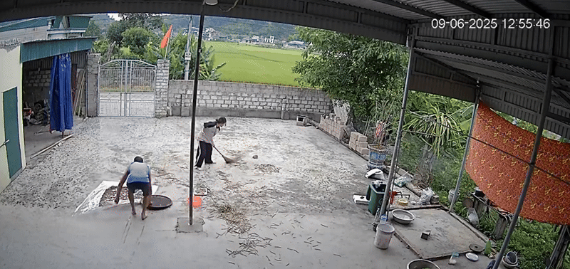 Đang ngồi trong nhà, nữ sinh bất ngờ chạy vụt ra sân khiến dân tình thót tim: Con nhà nông chắc hiểu dữ lắm!- Ảnh 3. Đang ngồi trong nhà, nữ sinh bất ngờ chạy vụt ra sân khiến dân tình thót tim: Con nhà nông chắc hiểu dữ lắm!- Ảnh 3.