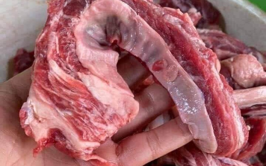 - Ảnh 1.