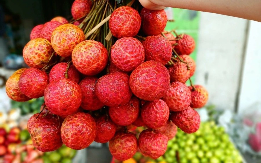 Vải mua về đừng vội cất tủ lạnh: Làm cách này tươi lâu hơn, để cả tháng vẫn ngọt mọng - Ảnh 1.