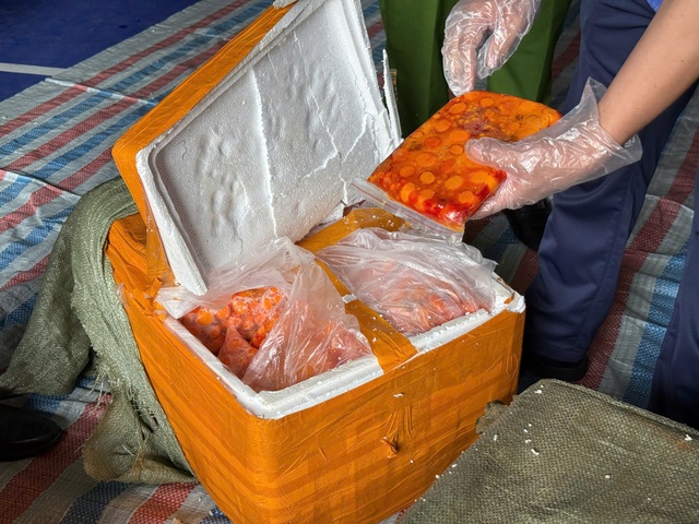 - Ảnh 5.