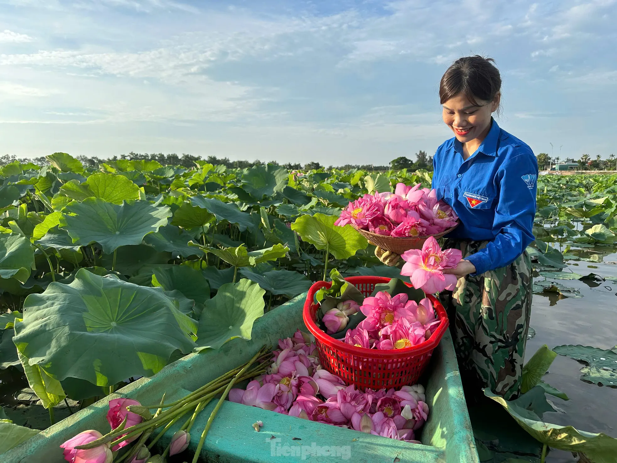 'Biến' vùng đất hoang hóa thành đầm sen thu tiền triệu mỗi ngày - Ảnh 10.