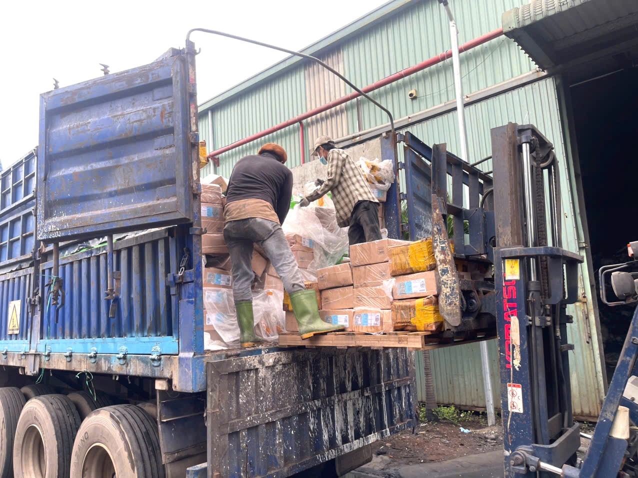 Hình ảnh hơn 30 tấn vú heo, dồi trường, gà ủ muối “bẩn” của một cơ sở kinh doanh - Ảnh 1.