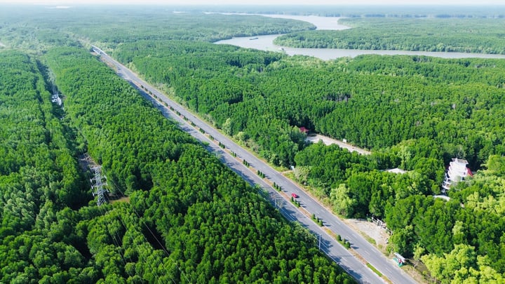 Bỏ th&oacute;i quen 'đi chợ tay kh&ocirc;ng, mang t&uacute;i nylon về nh&agrave;' để sống xanh hơn - Ảnh 1.