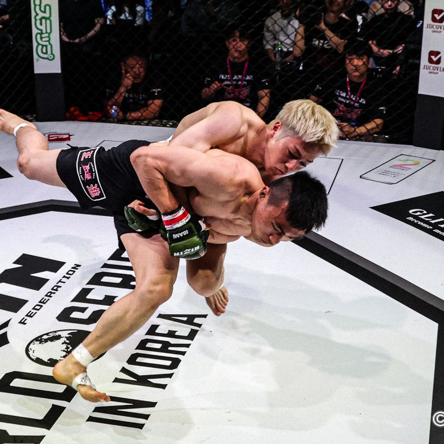 Võ sĩ MMA cứ lên sàn là thua te tua nhưng vẫn hút hơn 4 triệu fan nhờ... gương mặt giống Park Bo Gum- Ảnh 3. Võ sĩ MMA cứ lên sàn là thua te tua nhưng vẫn hút hơn 4 triệu fan nhờ... gương mặt giống Park Bo Gum- Ảnh 3.