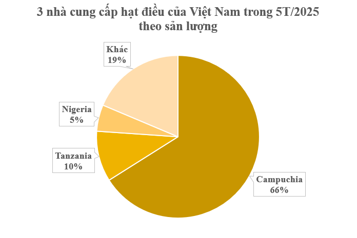 Hàng trăm nghìn tấn hạt vàng từ Campuchia vừa đổ bộ Việt Nam: Là ‘cứu tinh’ giúp nước ta xuất khẩu dẫn đầu thế giới, thuế nhập khẩu 0% - Ảnh 2.