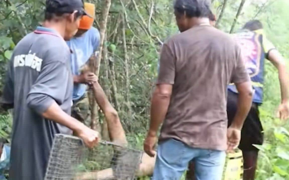 Xem phim Sex Education, tôi là đàn ông mà phải rơm rớm nước mắt khi nghe câu này: Quá đúng về mối quan hệ cha mẹ - con cái! - Ảnh 2.