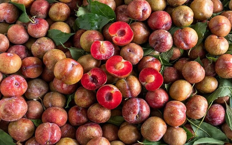 Mận đang bán đầy chợ, nhìn vào chỗ này biết ngay quả nào đắng chát, đọc rồi nhắc người thân của bạn nhé!- Ảnh 2.