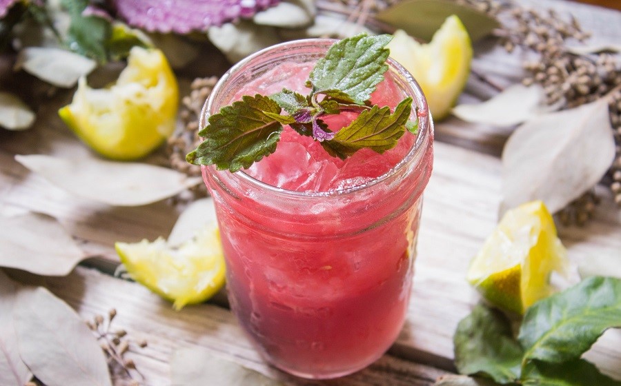 Tôi đã uống nước tía tô pha chanh trong 1 tháng và hoàn toàn bất ngờ với những thay đổi của cơ thể- Ảnh 2. Tôi đã uống nước tía tô pha chanh trong 1 tháng và hoàn toàn bất ngờ với những thay đổi của cơ thể- Ảnh 2.