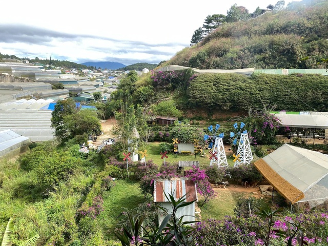 Chủ Thung Lũng G&acirc;u Đ&agrave; Lạt: Đầu tư nửa tỷ, nợ th&ecirc;m 300 triệu phải đi phụ hồ để b&ugrave; lỗ vẫn cố b&aacute;m trụ v&igrave; đ&acirc;u?- Ảnh 1.