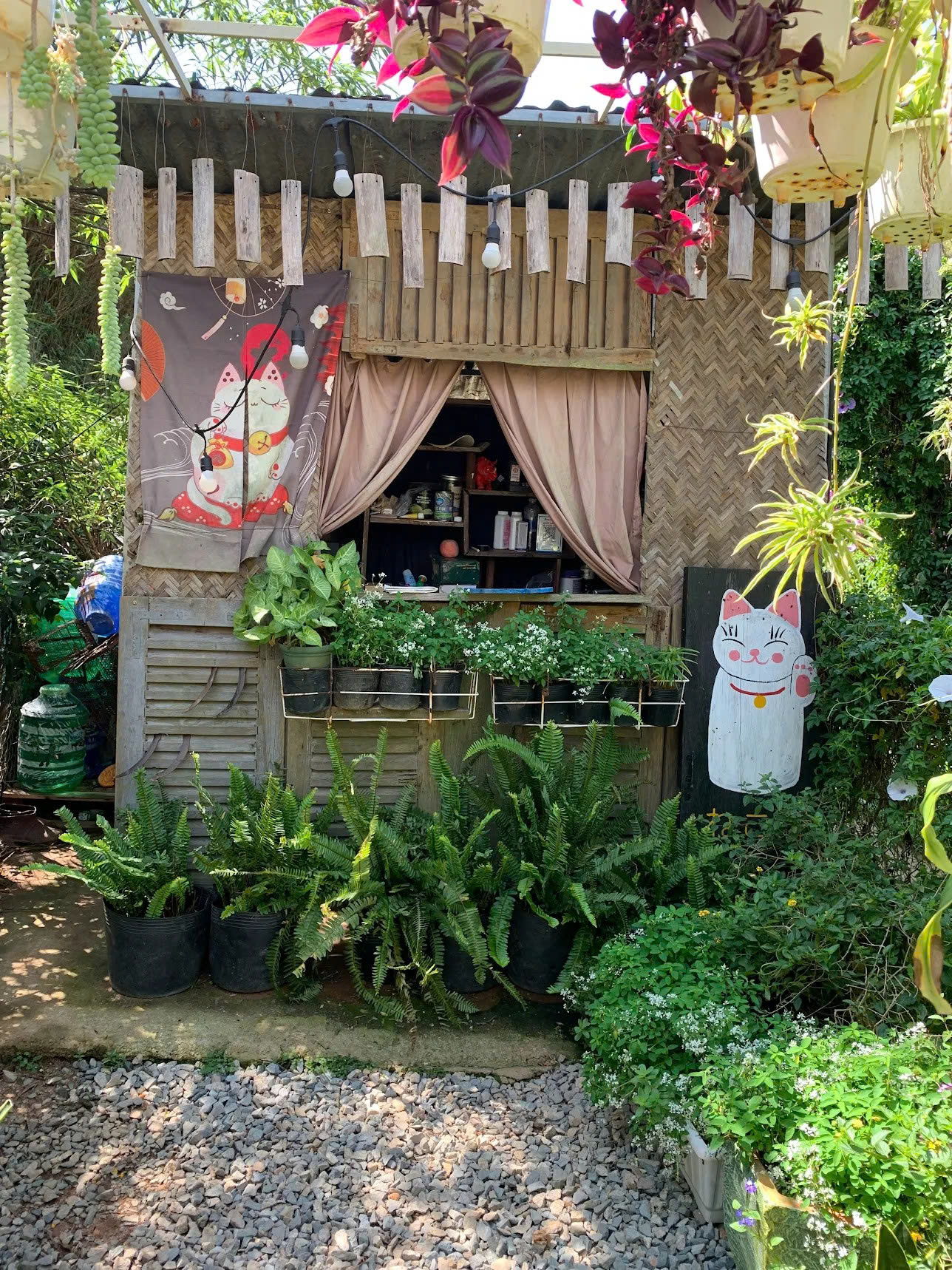 Chủ Thung Lũng G&acirc;u Đ&agrave; Lạt: Đầu tư nửa tỷ, nợ th&ecirc;m 300 triệu phải đi phụ hồ để b&ugrave; lỗ vẫn cố b&aacute;m trụ v&igrave; đ&acirc;u?- Ảnh 3.