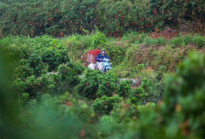 Nóng: Từ hôm nay, hàng triệu người dân Hải Phòng chứng kiến một thay đổi chưa từng có - Ảnh 5.