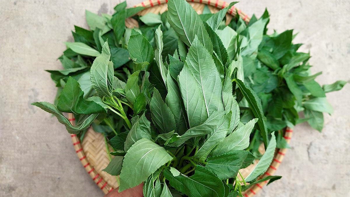 Việt Nam chi hàng triệu đô nhập khẩu 1 loại kẹo Trung Quốc: Mục đích sử dụng là gì? - Ảnh 2.