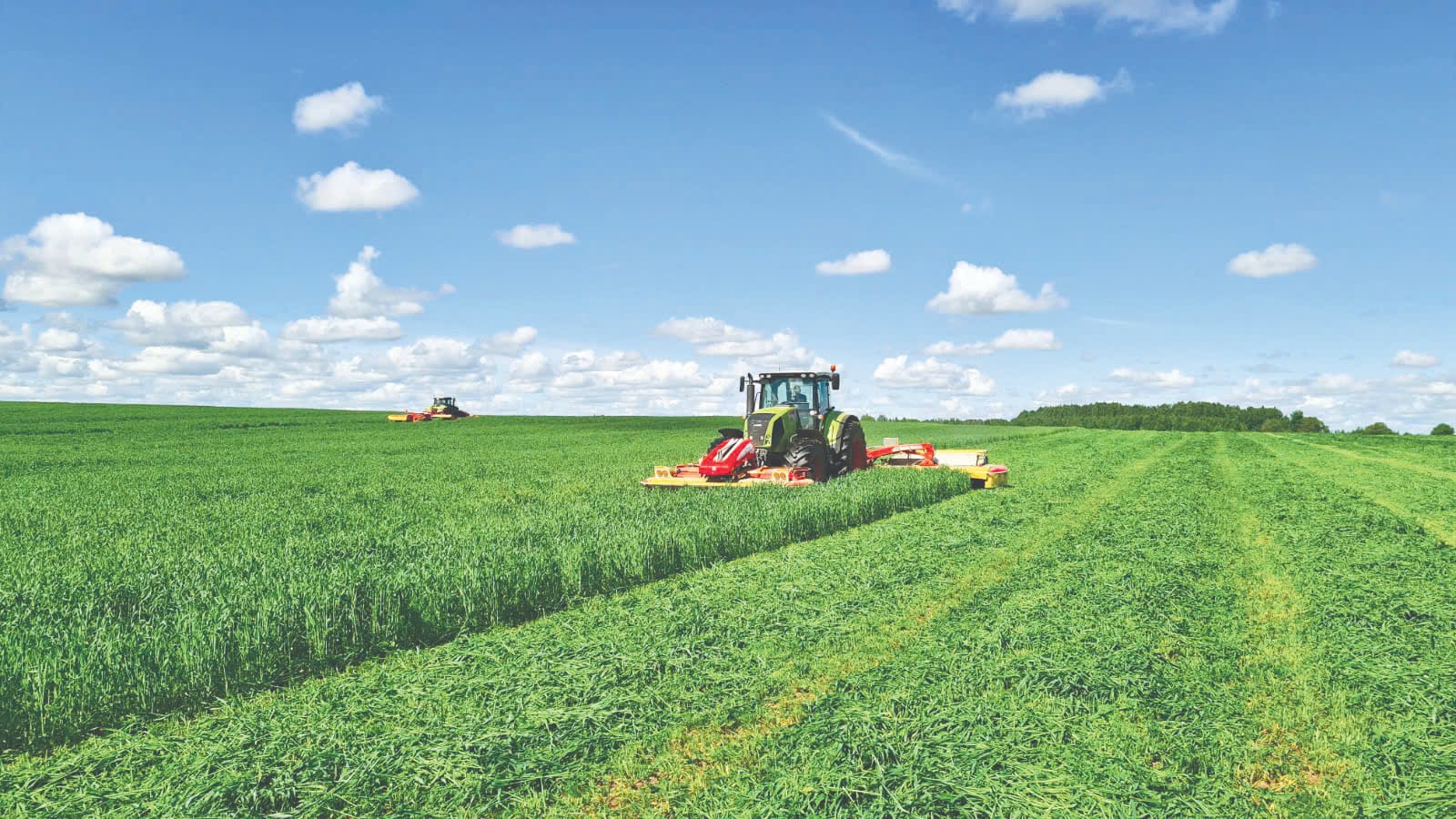 Dự &aacute;n chăn nu&ocirc;i v&agrave; chế biến sữa tươi sạch của TH tại &ldquo;vựa sữa&rdquo; Kaluga của Li&ecirc;n bang Nga - Ảnh 3.
