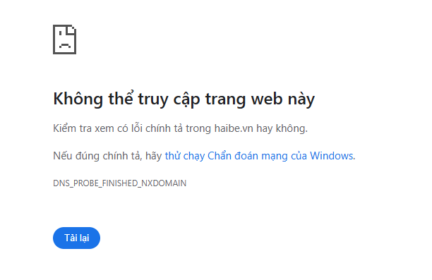 Toàn cảnh "hệ sinh thái” Hải Sen - cỗ máy in tiền trước khi sụp đổ - Ảnh 11.