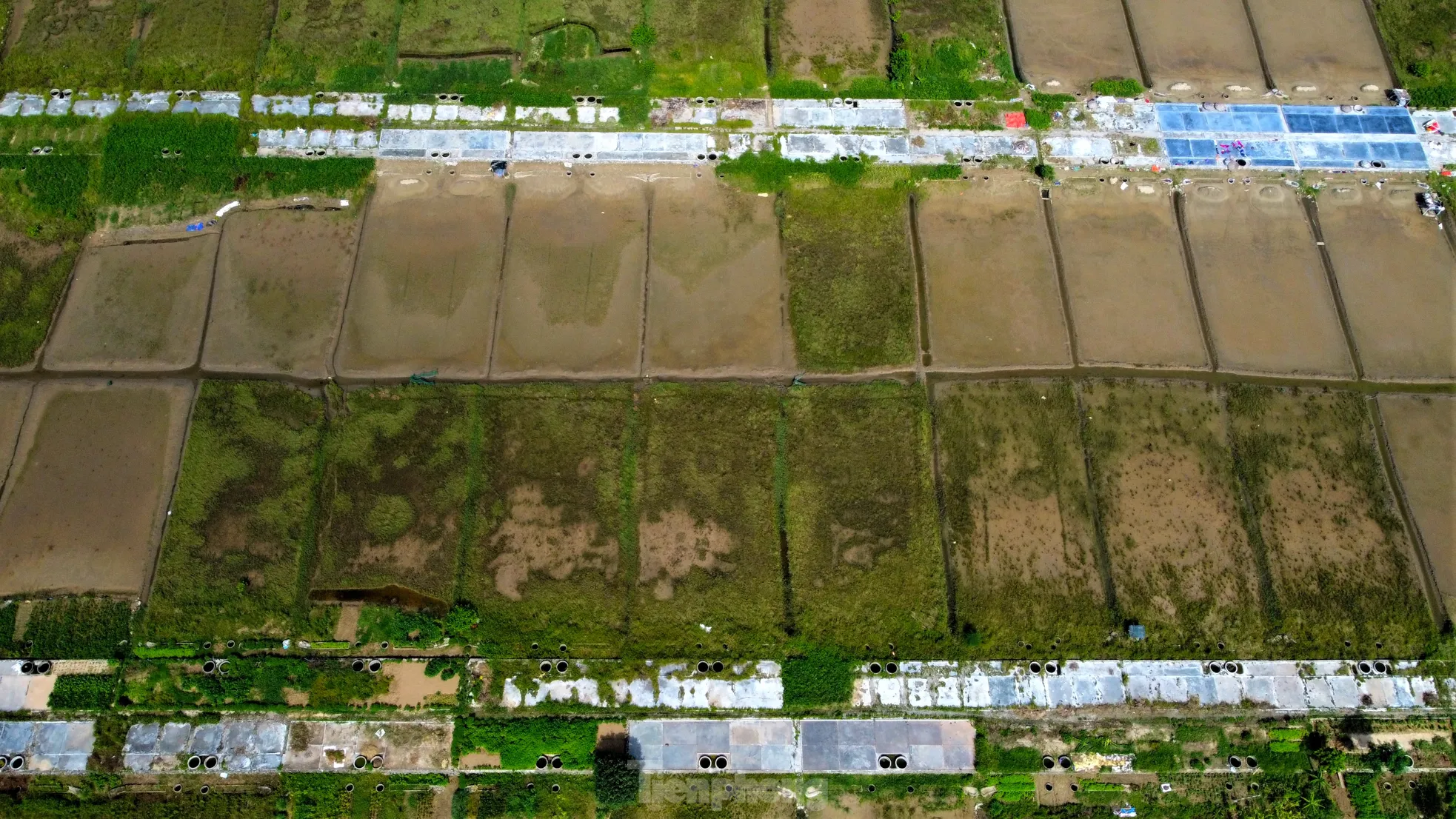 Thủ phủ muối Hà Tĩnh vắng bóng diêm dân: Nghề truyền thống mai một - Ảnh 9. Thủ phủ muối Hà Tĩnh vắng bóng diêm dân: Nghề truyền thống mai một - Ảnh 9.