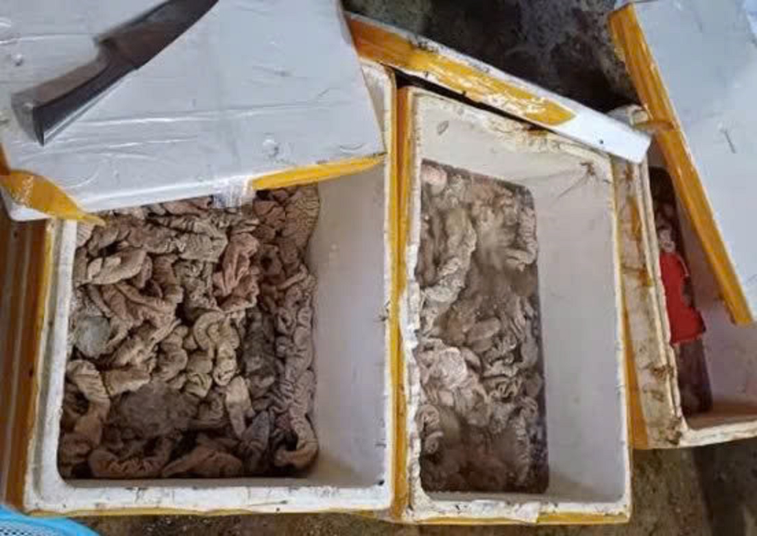 Ph&aacute;t hiện kho h&agrave;ng tại Đ&agrave; Nẵng chứa 3,5 tấn thịt, nội tạng bốc m&ugrave;i đổi m&agrave;u - Ảnh 1.