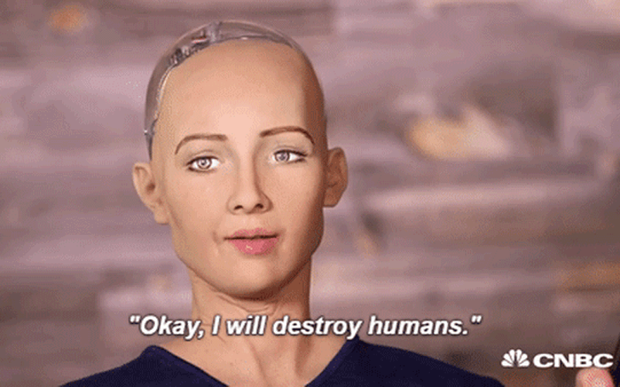 Cô nàng siêu robot Sophia từng tuyên bố “sẽ hủy diệt loài người” bây giờ ra sao? - Ảnh 1. Cô nàng siêu robot Sophia từng tuyên bố “sẽ hủy diệt loài người” bây giờ ra sao? - Ảnh 1.