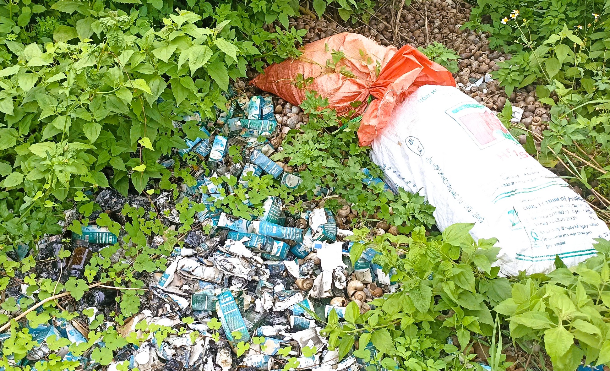 Sản phẩm ghi "Hải Sen" vứt thành đống, đốt cháy nham nhở gần nhà "TikToker Hải Sen" vừa bị bắt- Ảnh 4. Sản phẩm ghi "Hải Sen" vứt thành đống, đốt cháy nham nhở gần nhà "TikToker Hải Sen" vừa bị bắt- Ảnh 4.