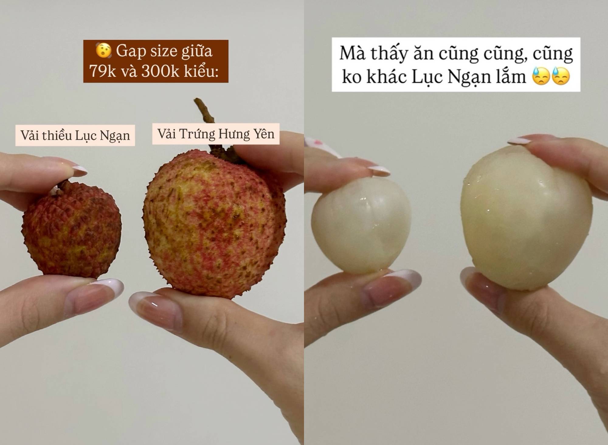 Mẹ Cua Cốm khen vải trứng Phù Cừ ngon nhất, người bán vải Thanh Hà: "Nói năng làm sao để mọi người tôn trọng nhé" - Ảnh 4. Mẹ Cua Cốm khen vải trứng Phù Cừ ngon nhất, người bán vải Thanh Hà: "Nói năng làm sao để mọi người tôn trọng nhé" - Ảnh 4.