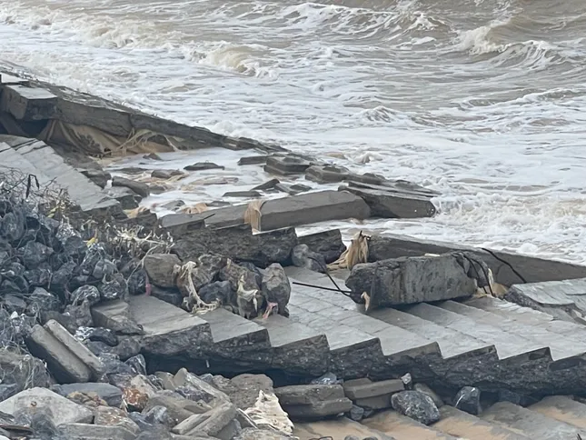 Hiến kế bảo vệ b&atilde;i biển đẹp h&agrave;ng đầu Việt Nam trước nạn x&acirc;m thực - Ảnh 3.